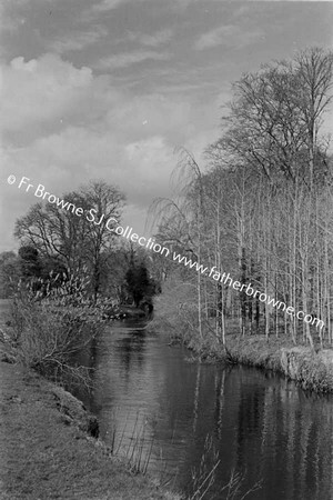 POPLARS BY THE RIVER NORE